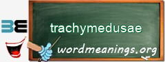 WordMeaning blackboard for trachymedusae